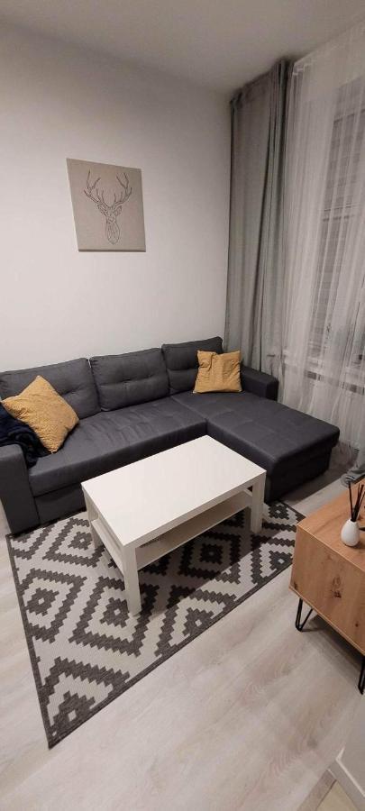 Apartament Na Kochanowskiego Stary Toruń Eksteriør bilde